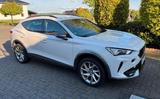 Cupra Formentor 1.5 TSI DSG | Kamera | 18 Zoll |