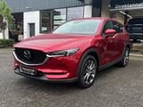 Mazda CX-5 2.2 AWD Sports-Line Plus TEC-P - Mazda in Hagen