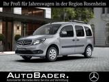 Mercedes-Benz Citan 111 CDI Tourer EDITION Lang Navi RFK Shz - Mercedes-Benz Citan mit Diesel-Antrieb: Kleinbus, Cdi Lang