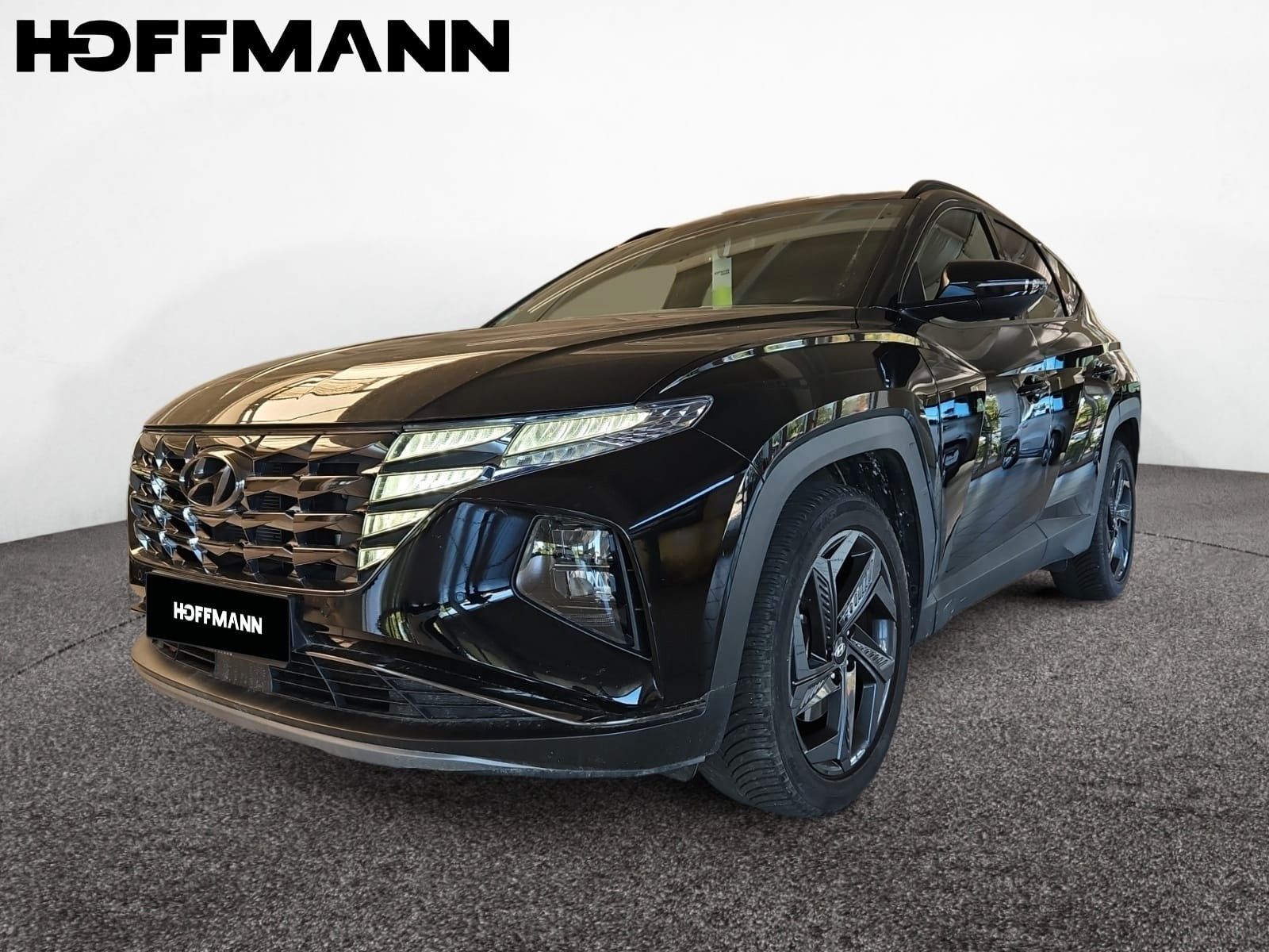 Fahrzeugabbildung Hyundai TUCSON 1.6 T-GDi 2WD Advantage