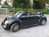 Volkswagen VW New Beetle Cabrio - Volkswagen New Beetle in Bremen
