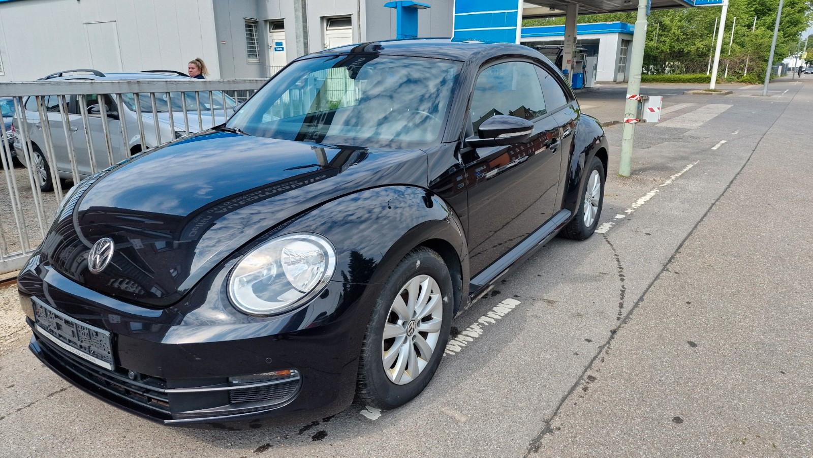 Volkswagen Beetle Lim. Basis-Alus-Pdc-Zahnriemen Neu