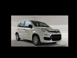 Fiat Panda - Fiat Panda mit Benzin-Antrieb: Kleinwagen