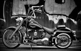 Harley-Davidson Softail Deluxe - HARLEY-DAVIDSON 2006