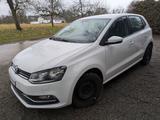 Volkswagen Polo 1.2 TSI 66kW BMT Comfortline  - Volkswagen Polo: 1.6
