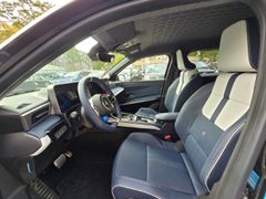 Fahrzeugabbildung A 290 220 GTS Elektro