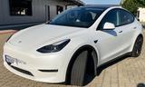 Tesla Model Y Performance Dual Motor AWD Performance