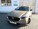 Mazda CX-30 SKYACTIV 140 AT Homura NAVI/HUD/KAMERA - Mazda CX-30 Jahreswagen
