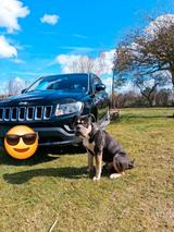 Jeep compass - gebrauchte Jeep Compass aus dem Jahr 2013