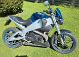 Buell XB9 SX - BUELL XB 9SX