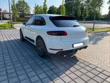 Porsche Macan S / 8-Fach / Gepflegt & Gewartet - Porsche Gebrauchtwagen in Gütersloh