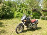 Aprilia Pegaso 650 - Offers matching your search criteria