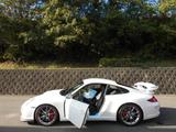 Porsche 911 GT3 - Porsche aus 2010: Gt3