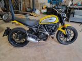 Ducati Scrambler 800 L3e-A2 Führerschein Wunschfarbe - DUCATI E SCRAMBLER