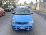Fiat Panda 1.2 Alessi - Fiat Panda: Alessi