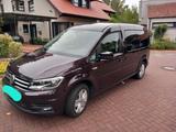 Volkswagen Caddy Maxi DSG - Behindertengerecht mit Rampe - Volkswagen Caddy Maxi aus 2015