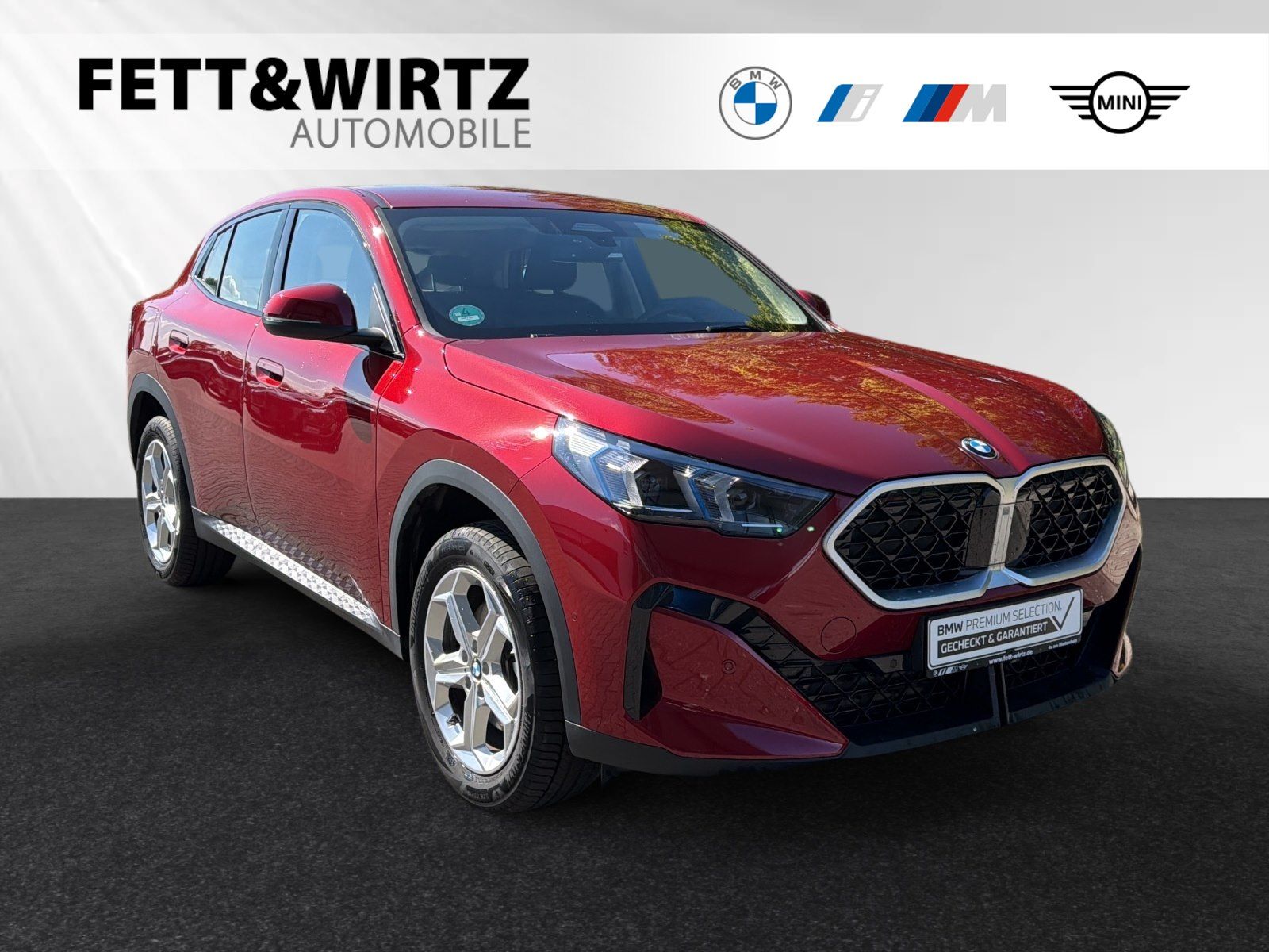 BMW BMW X2 sDrive20i Anhängerk.|DrivingAssistant|Parka