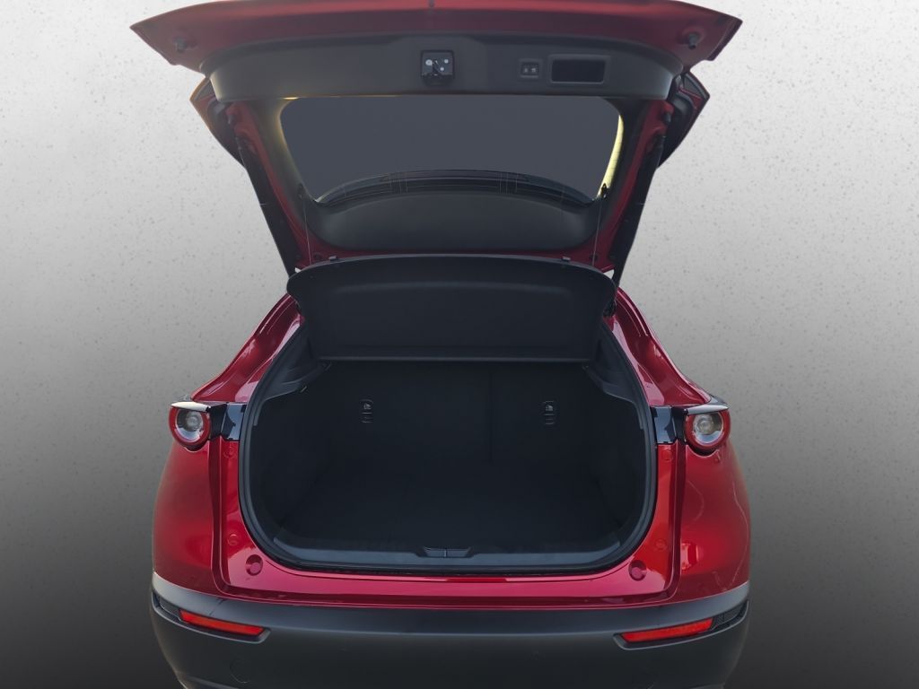 MAZDA CX-30 HOMURA 2.5G AT 140PS Navi Kamera LED-Licht MAZDA CX-30 HOMURA 2.5G AT 140PS Navi Kamera LED-Licht