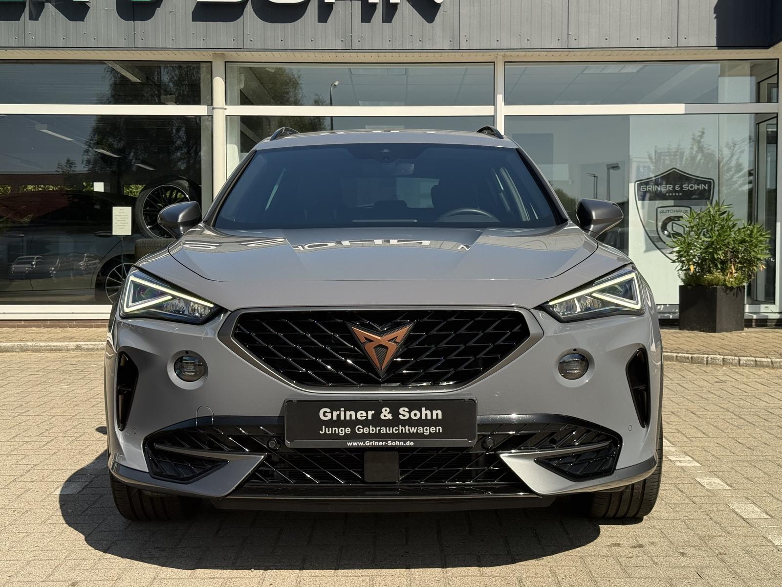 Cupra Formentor 18-Zoll,R-Kam,Winter,ACC,Ambiente-2