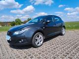 Seat Ibiza Sport Edition - Seat Ibiza aus 2010: Sport