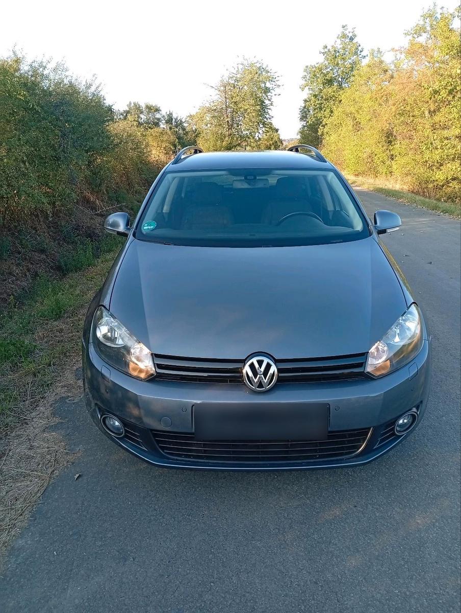 Volkswagen Golf 2010 — rear view