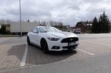 Ford Mustang 2.3 Ecoboost - Ford Mustang in Herne