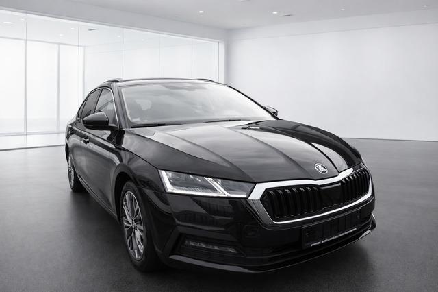 Skoda Octavia 2.0 TDI Autom. P-Dach,Sitzh.Touch-Displ.
