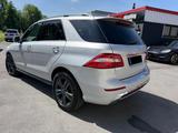 Mercedes-Benz ML 500 4MATIC | AMG | AIRMATIC| Standheizung - Mercedes-Benz: Airmatic Ml