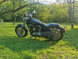 Harley-Davidson Sportster XL 1200C