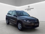 Volkswagen Tiguan Trend & Fun BMT/RENTERFAHRZEUG/SITZHEIZ - : Geländewagen, Rent