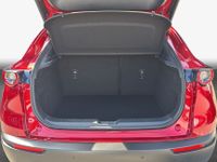 Mazda CX-30 - Vorschau Bild 8