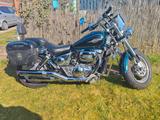 Suzuki VZ 800 Marauder sehr guter Zustand! - Offers