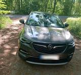 Opel Grandland X 1,2 Innovation Top Aussta... - Opel Nova Gebrauchtwagen