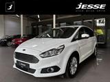 Ford S-Max 2.0 TDCi Titanium Navi SHZ PDC DAB - Ford S-Max: Tdci Titanium