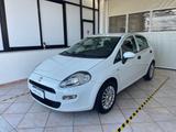 Fiat Punto 1.2 8V 5 porte Young - Fiat Punto: Young