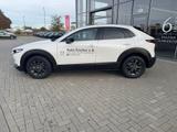Mazda CX-30 2.5 (140PS) Autom. Homura CarPlay Navi Maz - Mazda CX-30 Gebrauchtwagen in Frankfurt