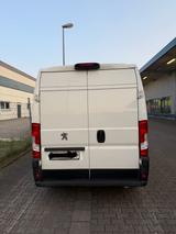 Peugeot, Boxer - Peugeot Boxer in Frankfurt (Main)