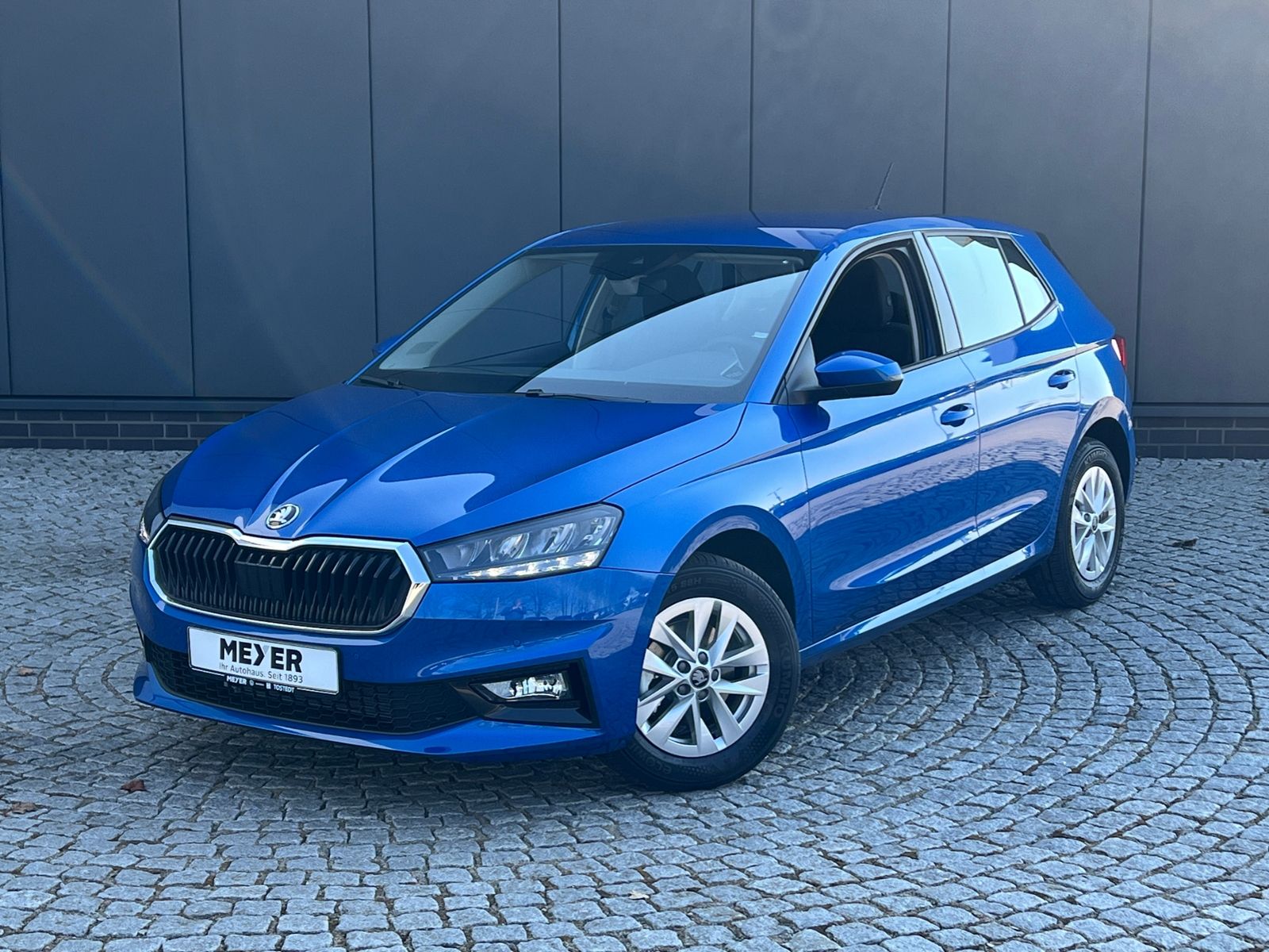 Fahrzeugabbildung SKODA Fabia Selection 1.0 TSI DSG *Garantie, WinterPlu