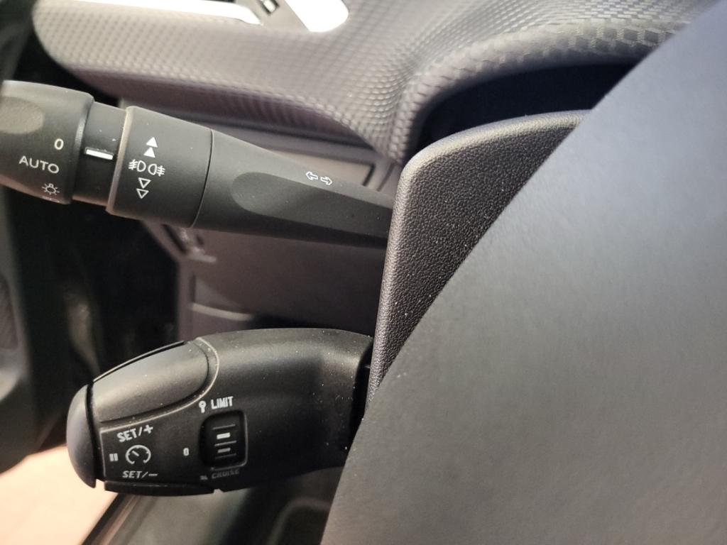 Peugeot 2008 Allure ALLWETTER NAV PANODACH AHK KAMERA SI