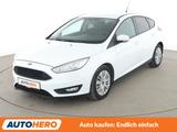 Ford Focus 1.0 EcoBoost Business Aut.*NAVI*PDC*SHZ* - Ford Focus: Business