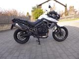 Triumph Tiger 800 XRX low KD + Reifen neu - TRIUMPH TOURER