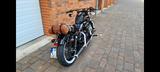 Harley-Davidson Forty-eight *Jackle and Hide Auspuff* - Angebote