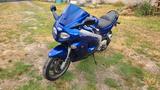 Triumph Sprint ST 955i defekt - TRIUMPH SPRINT ST