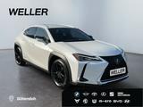 Lexus UX 250h Amazing Edition *Bi-LED*SHZ*CAM*CarPlay* - Lexus UX aus 2020