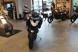 Triumph Tiger 1200 GT Pro *Aktion* - TRIUMPH TIGER