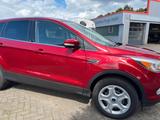 Ford Kuga Trend *AHK* - Ford Kuga: Trend