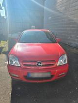 Opel signum - Opel Signum von privat
