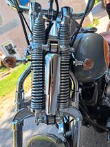 Harley-Davidson Softail Springer FLSTS - HARLEY-DAVIDSON SPRINGER SOFTAIL