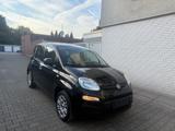 Fiat Panda Easy TÜV NEU*2.HAND*EFH - Fiat Panda Gebrauchtwagen in Duisburg