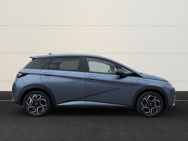 BYD Dolphin Design